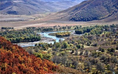 吉林“雙節(jié)”期間多地發(fā)放文化和旅游消費(fèi)券